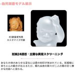 母性愛 カスタマイズ - 画像 (4)