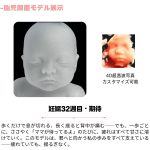 母性愛 カスタマイズ - 画像 (5)