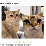 カスタム抽象柄クッション - Imagem 8