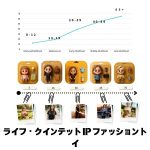人生の5つの段階：IPカスタマイズ - 画像 (2)