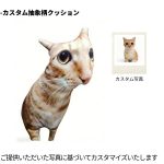 カスタム抽象柄クッション - Imagem 2