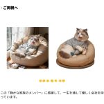 カスタム3Dペットフィギュア - 이미지 5