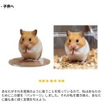 カスタム3Dペットフィギュア - 이미지 6