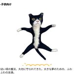 オーダーメイドのペット抱き枕は骨組みが曲がります超ブス - Image 4