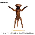 オーダーメイドのペット抱き枕は骨組みが曲がります超ブス - Image 2