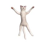 オーダーメイドのペット抱き枕は骨組みが曲がります超ブス